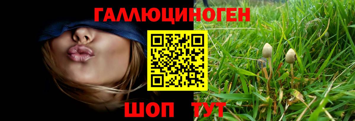 Галлюциногенные грибы прущие грибы  Вход с VPN  Грязи 