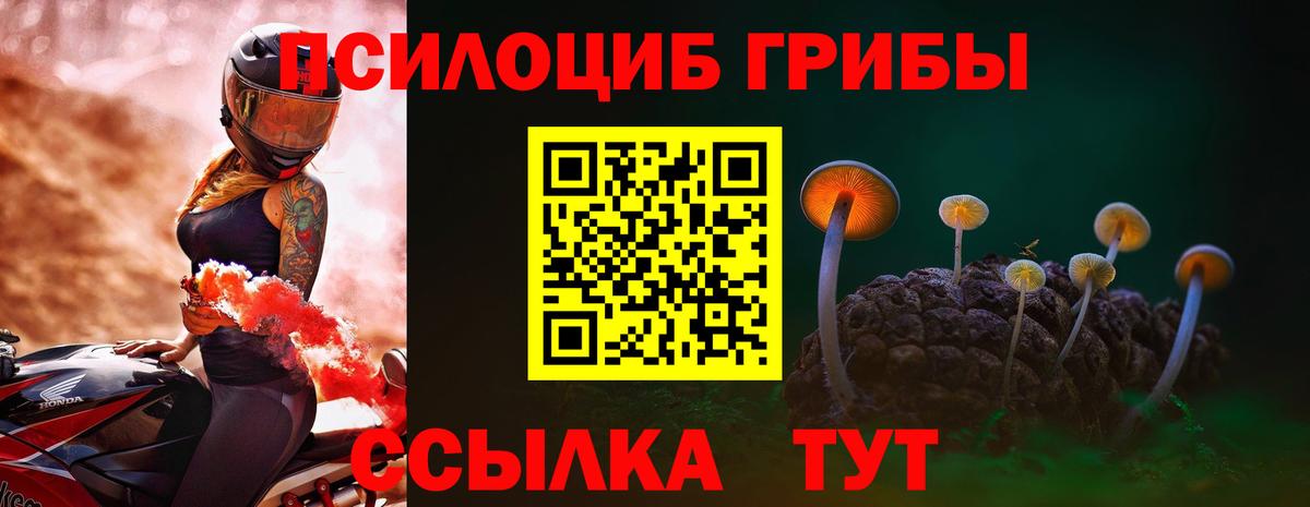 Галлюциногенные грибы ЛСД Грязи