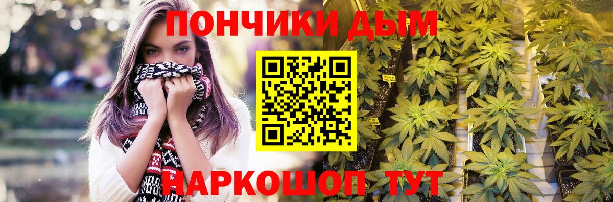 Канабис марихуана  Конопля марихуана  Грязи  Конопля тримм  Вход с VPN 